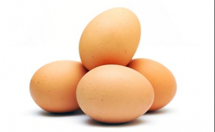 Loja Makro de Faro recebe Show Cooking,  “Um Ovo, milhares de soluções”