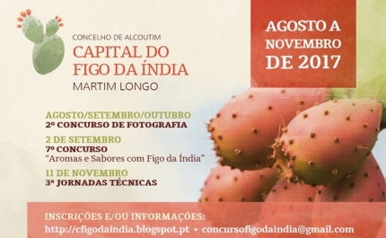 Capital do Figo da Índia