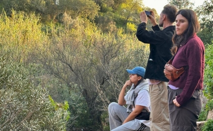 Apresentação Pública da Residência Artística «Fora de Campo» em mais uma «Alfaia Art Talk»