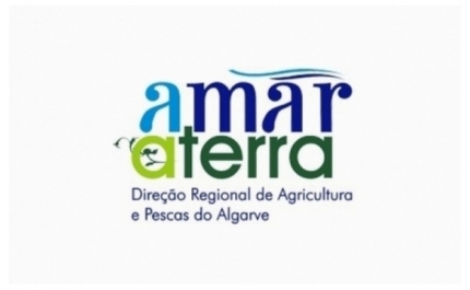 Um total de 560 projetos já foram aprovados pelo programa Mar 2020 no Algarve, cuja gestão regional é responsabilidade da DRAP Algarve