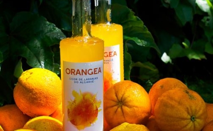 Cascas de laranja algarvia são base de licor inspirado no limocello italiano