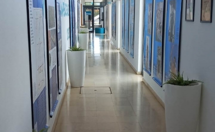 EXPOSIÇÃO «A ARTE DE NADAR» EM EXIBIÇÃO NO COMPLEXO DAS PISCINAS MUNICIPAIS DE SILVES ATÉ 16 DE JUNHO