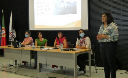 Município de Tavira reforça aposta no bem-estar e proteção animal 