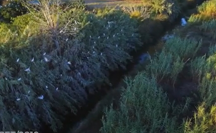 Associações locais lançam crowdfunding para travar construção nas Alagoas Brancas em tribunal