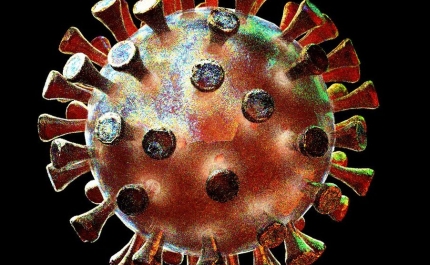 Covid-19: Algarve regista hoje 215 novos casos e 3 vítimas mortais