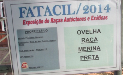 Nasceram na Fatacil 2 Ovelhas Pretas