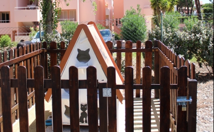 Presidente da Junta de Quarteira Inaugura Projeto Pioneiro da Animal Rescue Algarve em Vilamoura