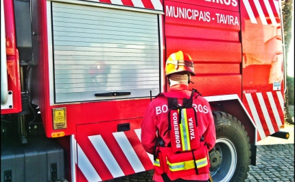 Bombeiros Municipais resgatam cadela de poço na Serra de Tavira