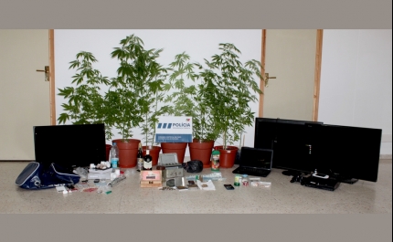  PSP DE PORTIMÃO DESMANTELA REDE DE TRÁFICO DE DROGA 