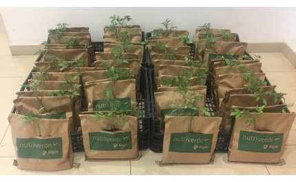  A Algar e o Nutriverde cumprem a tradição! 