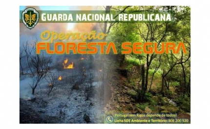 Operação «Floresta Segura»