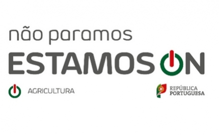 PDR2020 | 10 M€ PARA JOVENS AGRICULTORES EM TERRITÓRIOS DE BAIXA DENSIDADE
