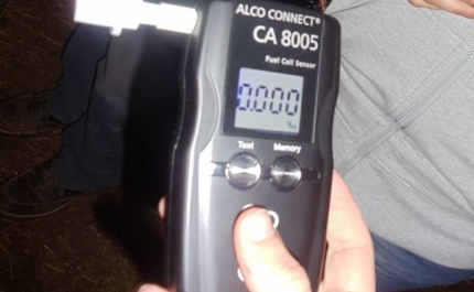 Campanha 100% Cool conclui que jovens bebem cada vez menos álcool quando conduzem