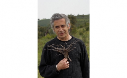 Exposição “Os Génios Não Morrem” homenanageia Victor Borges