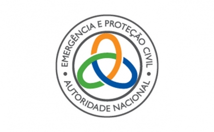 Mau tempo: Empresas hortofrutícolas do sudoeste alentejano com danos bastante significativos 
