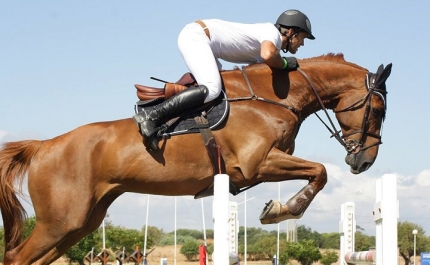 Vilamoura | Spa de água salgada alivia esforço de cavalos em concurso