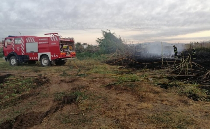 Bombeiros combateram incêndio na Freguesia de Montenegro