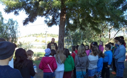 Município de Albufeira envolve Comunidade Escolar no Projeto Chapim