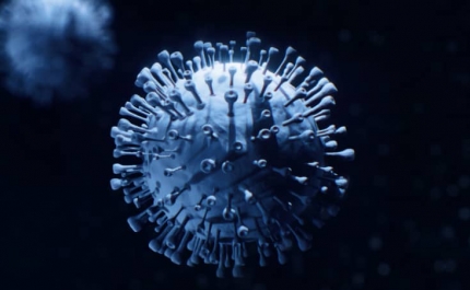 Covid-19: Algarve hoje com 1.118 novos casos e 2 vítimas mortais