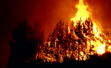 Incêndios: Mais de 100 operacionais combatem fogo no concelho de Silves