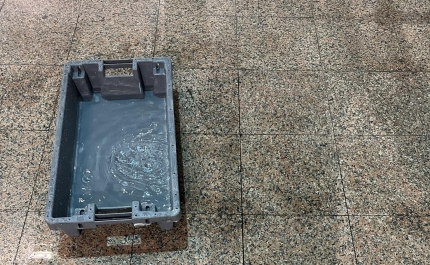 Mau tempo leva ao cancelamento de 7 voos no aeroporto de Faro