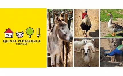 «Vem dar o pequeno-almoço aos animais da Quinta Pedagógica de Portimão»