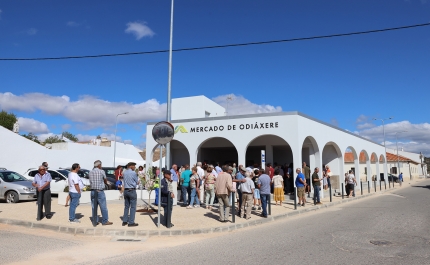 Mercado de Odiáxere reabre portas reabilitado
