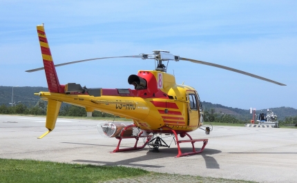 Proteção Civil realiza simulacro sobre atuação em incêndios rurais