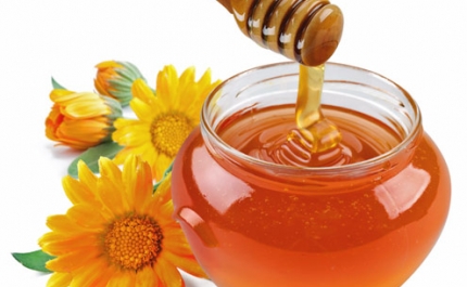 Os Melhores Méis do Algarve | Concurso do Mel do Algarve