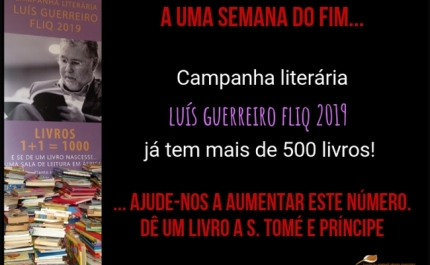 Campanha Literária Luís Guerreiro - FLIQ 2019