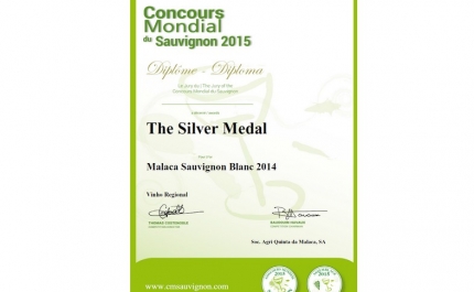 Vinho algarvio brilha em concurso internacional