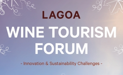 «Lagoa Wine Tourism Forum» | Innovation & Sustainability Challenges 