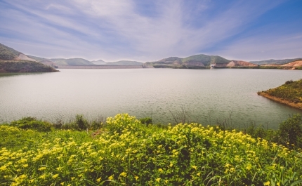 22 de Abril | Dia Internacional da Mãe Terra 2021