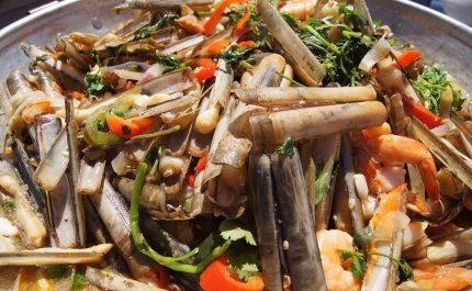 Projeto Cataplana Algarvia percorre a região