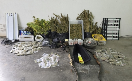 Tavira – Detido por cultivo de canábis e posse de arma proibida