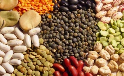 Seminário Potencial das Proteaginosas