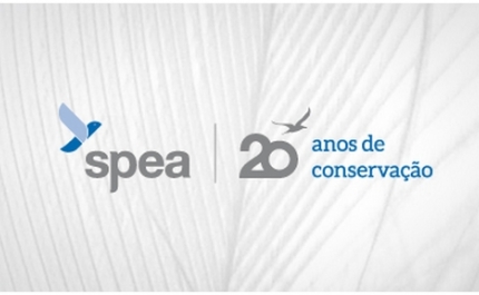 “Aves de Cacela Velha” em destaque no fim de semana europeu de observação de aves