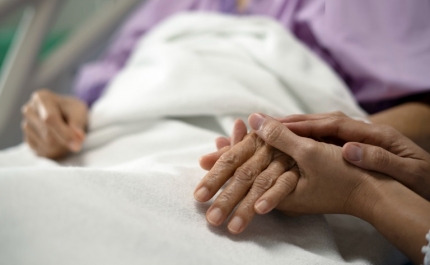 Morreu idosa de 86 anos atacada por formigas em lar de Boliqueime
