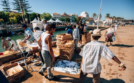 Portimão em contagem decrescente para a recriação da descarga da sardinha