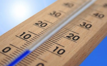 Incêndios: 50 municípios do interior Norte e Centro e do Algarve em risco máximo