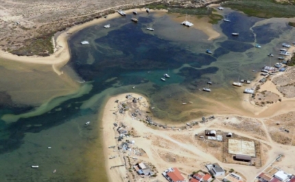 Autoridades começam limpeza de mancha de origem desconhecida na Ria Formosa