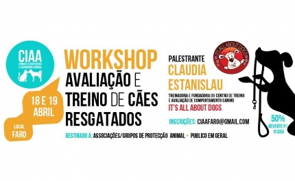 WORKSHOP  | Avaliação e Treino de Cães Resgatados