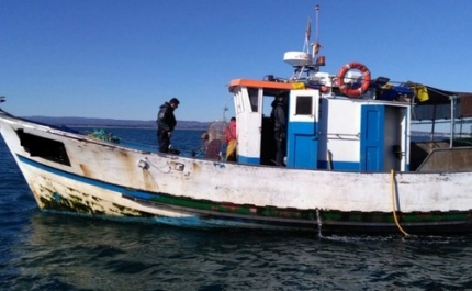 Polícia Marítima apreende três embarcações de pesca e 230 Kg de polvo em Tavira