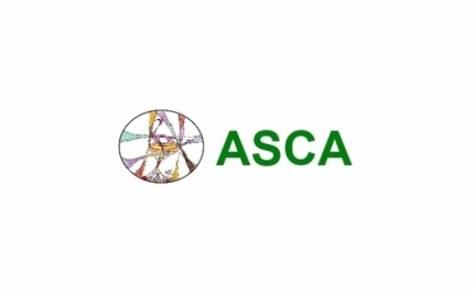 ASCA | 2º Concerto Solidário