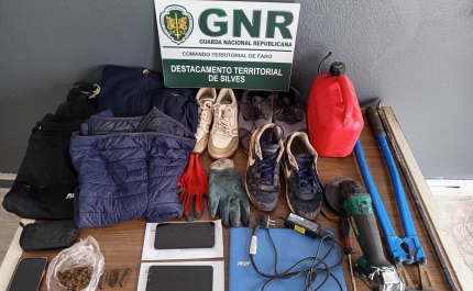 Silves – Prisão preventiva por furtos