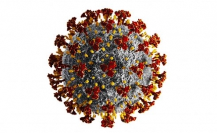 Covid-19: Algarve hoje com mais 17 novos casos