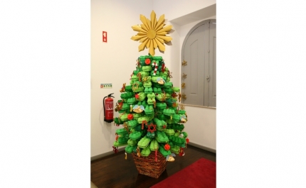 Exposição «Mãos de Natal» envolve comunidade sénior numa mostra de trabalhos inspirados na quadra natalícia