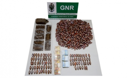 GNR detém três indivíduos e apreende cerca de 8 quilos de haxixe e mais de 12 mil euros em dinheiro 