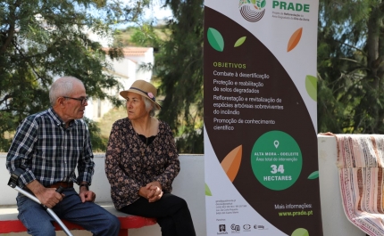 PRADE - Projeto de Reflorestação de área ardida alia ambiente, investigação e atividade agroflorestal produtiva 