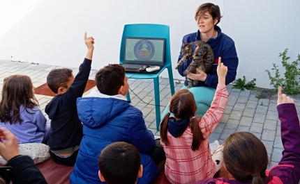 MUNICÍPIO DE FARO CONVIDA ESCOLAS E INSTITUIÇÕES  A CONHECER CENTRO DE RECOLHA OFICIAL DE ANIMAIS DE FARO